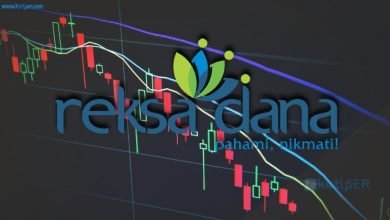 Bagaimana Memahami Investasi Reksadana?