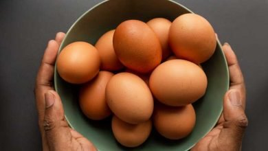 Manfaat Khasiat Sehat Telur
