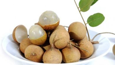 Ini Dia Manfaat Luar Biasa Buah Kelengkeng