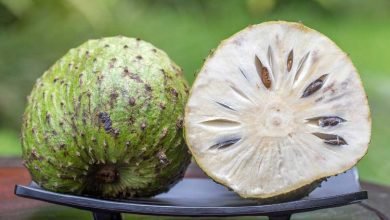 Inilah Kandungan Nutrisi Dan Manfaat Buah Sirsak