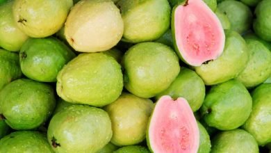 Usus Buntu Dengan Jambu Biji